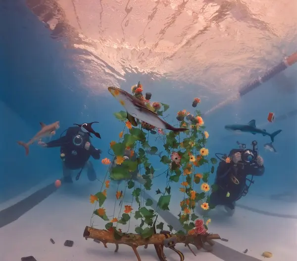 Alumno haciendo el curso de fotografía en pileta y fotografiando objetos.