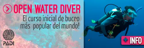 Open Water Diver - El curso inicial de buceo más popular del mundo